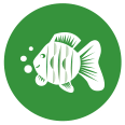 badge-green